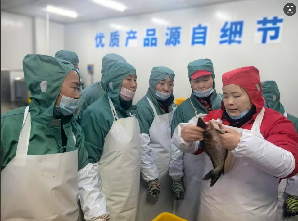 2024年澳门原料免费
