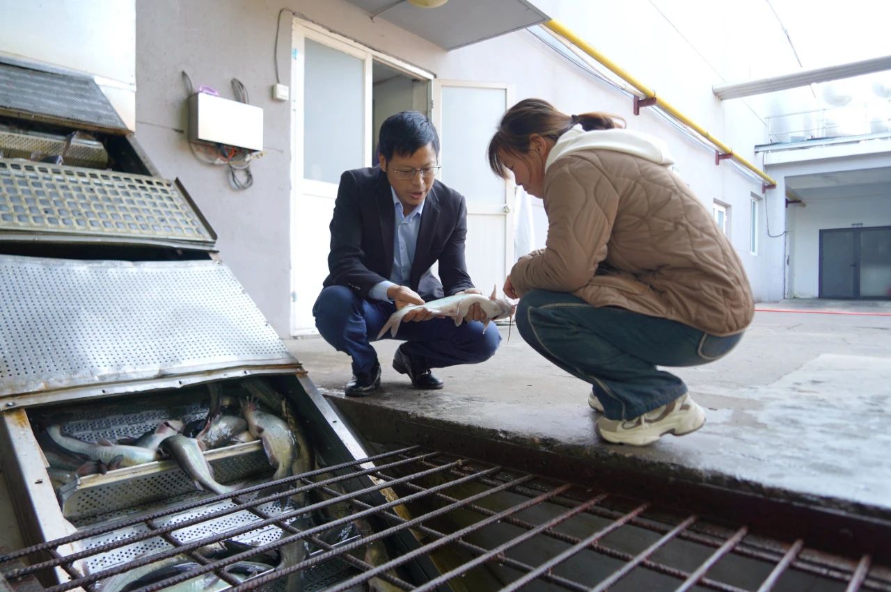 2024年澳门原料免费